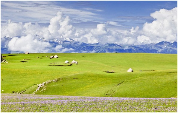 星空帐篷营地，山水画廊里的乡野生活。(图4)